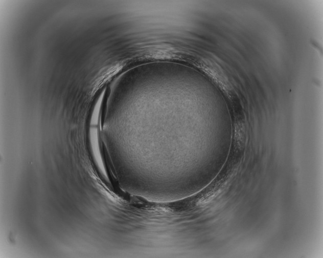 X0000096940397200802151219