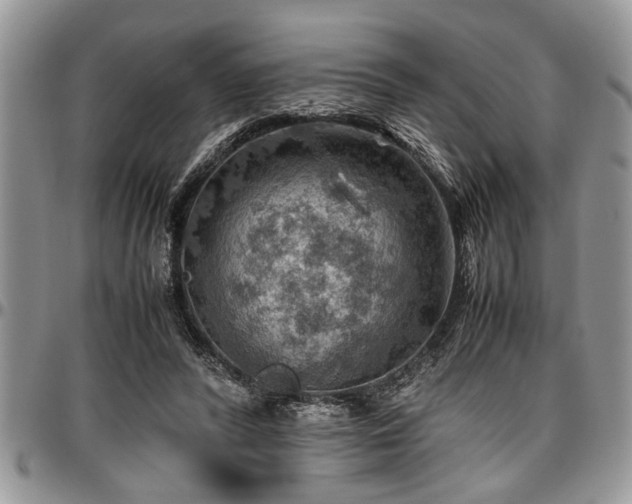 X0000096940400200802151219