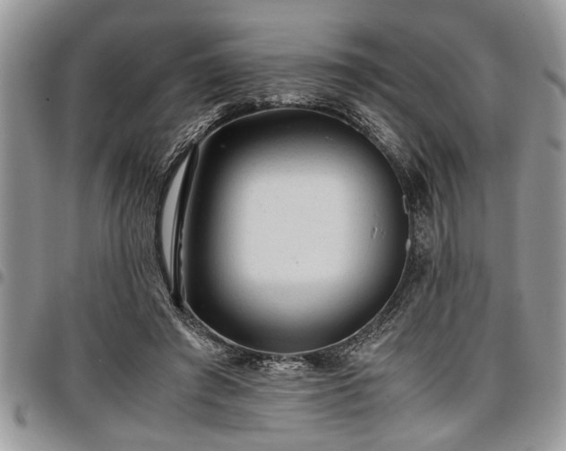 X0000096940401200802151219