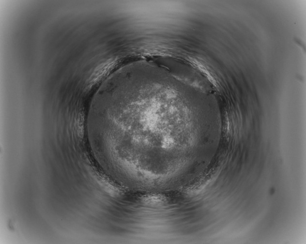 X0000096940402200802151219