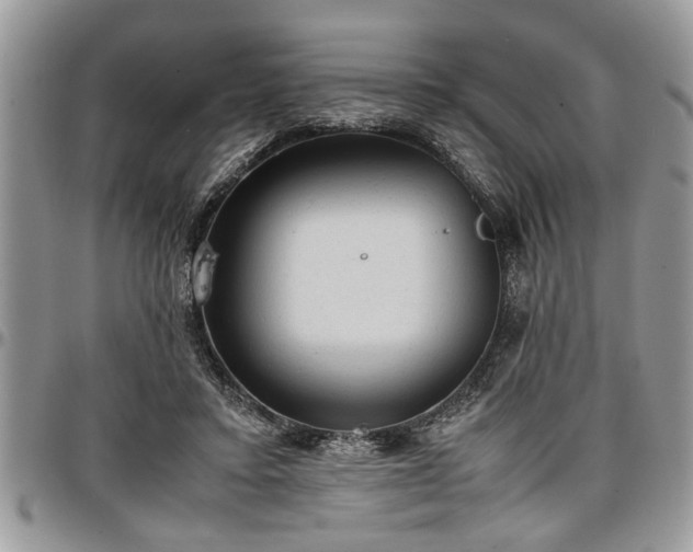 X0000096940403200802151219