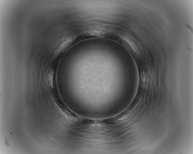 X0000096940404200802151219