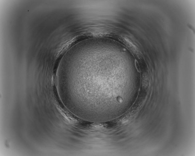 X0000096940405200802151219