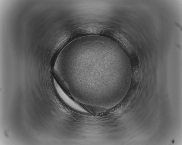 X0000096940407200802151219