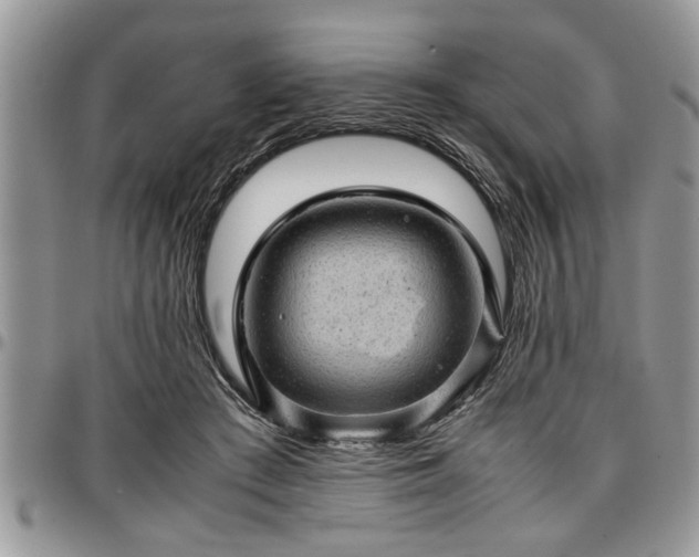 X0000096940409200802151219