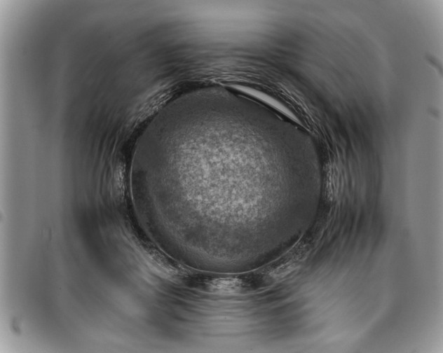 X0000096940410200802151219