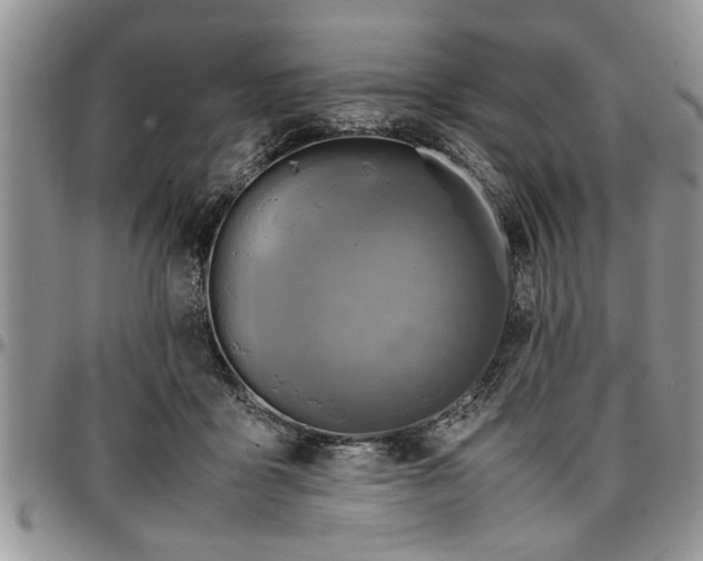 X0000096940411200802151219
