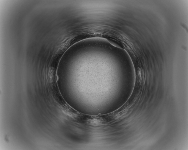 X0000096940412200802151219