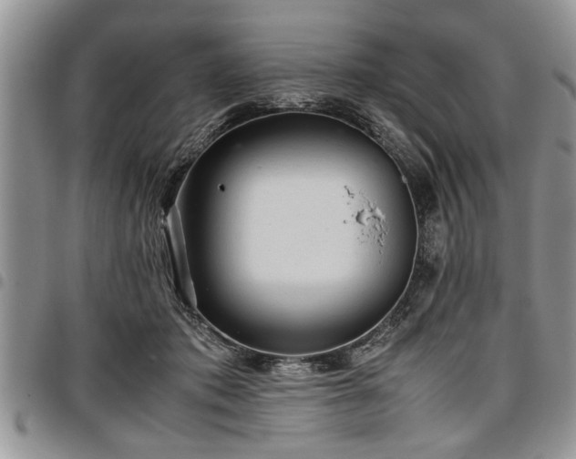 X0000096940413200802151219