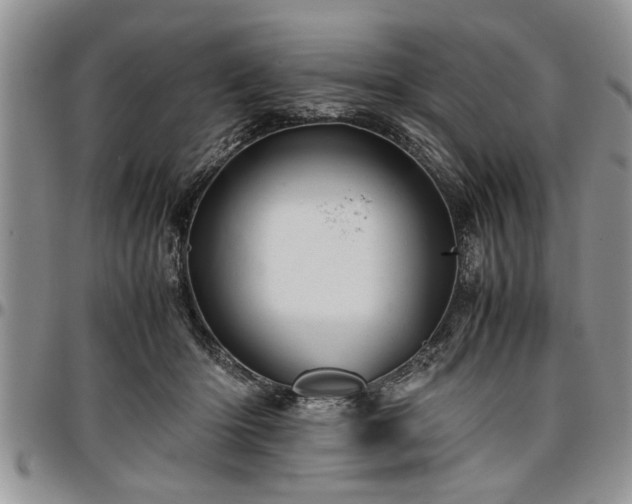 X0000096940414200802151219