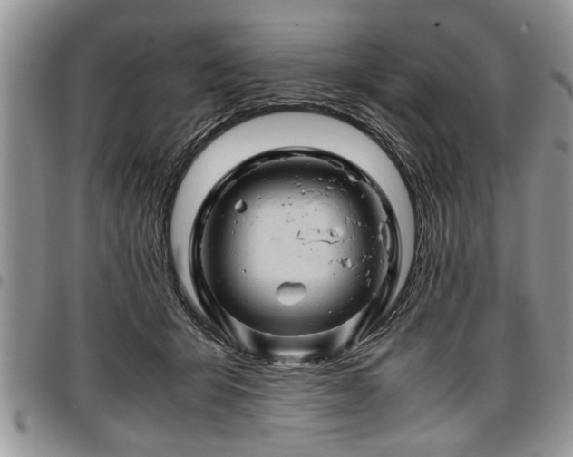 X0000096940415200802151219