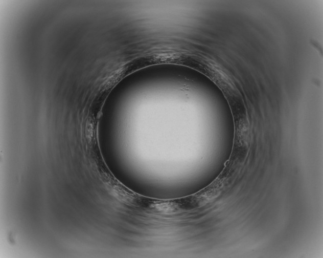 X0000096940417200802151219