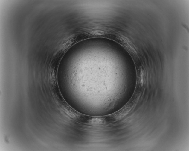 X0000096940418200802151219