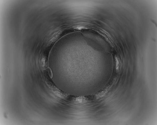 X0000096940420200802151219