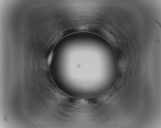 X0000096940421200802151219