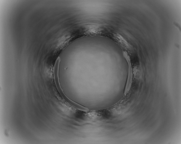 X0000096940423200802151219