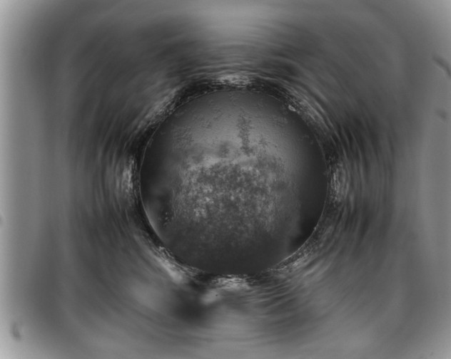 X0000096940424200802151219