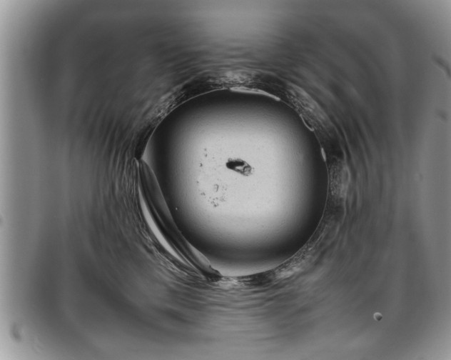 X0000096940425200802151219