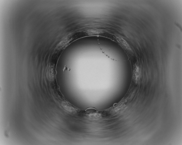 X0000096940426200802151219