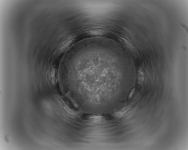 X0000096940428200802151219