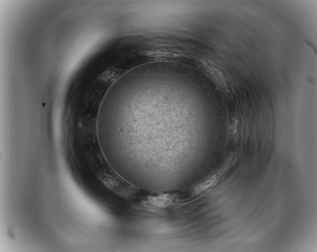 X0000096940430200802151219