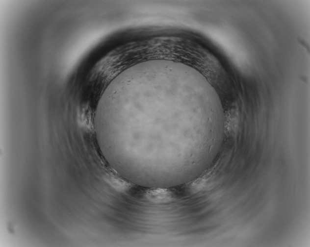 X0000096940431200802151219
