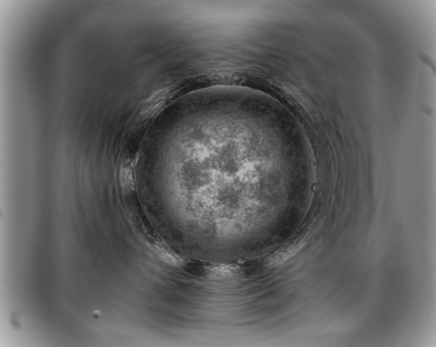 X0000096940432200802151219