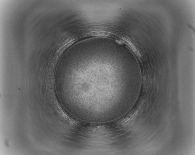 X0000096940433200802151218