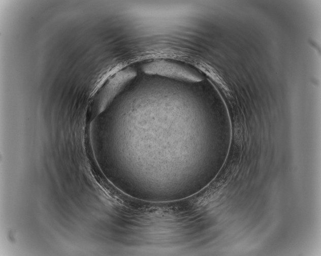 X0000096940434200802151218