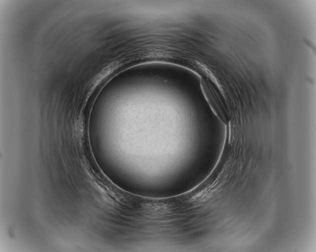X0000096940435200802151218
