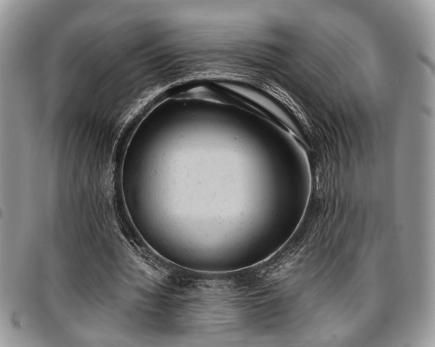 X0000096940436200802151218