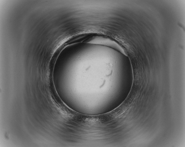 X0000096940440200802151218