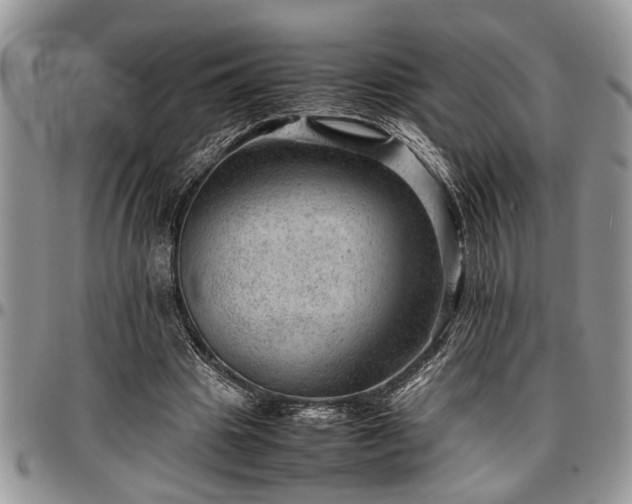 X0000096940441200802151218