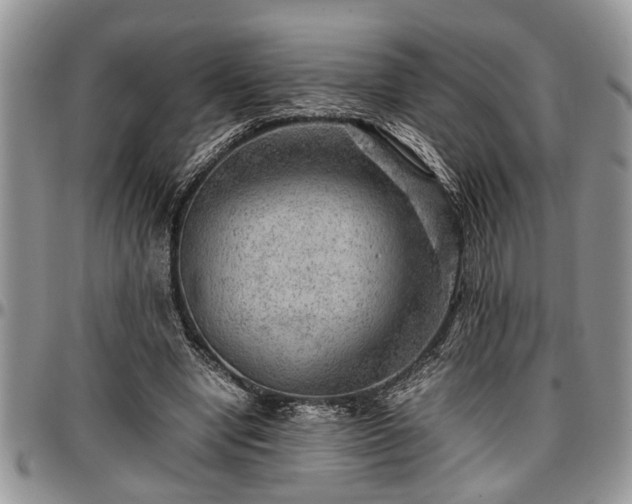 X0000096940442200802151218