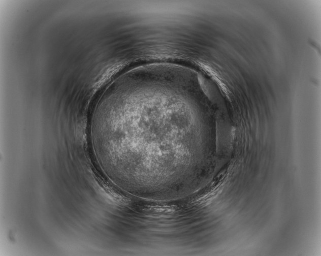 X0000096940443200802151218