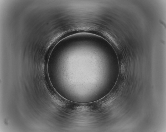 X0000096940444200802151218