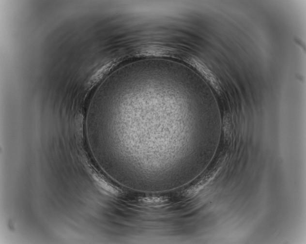 X0000096940445200802151218