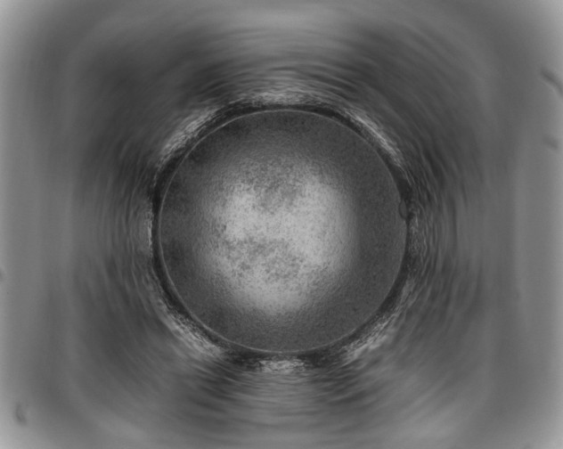 X0000096940446200802151218