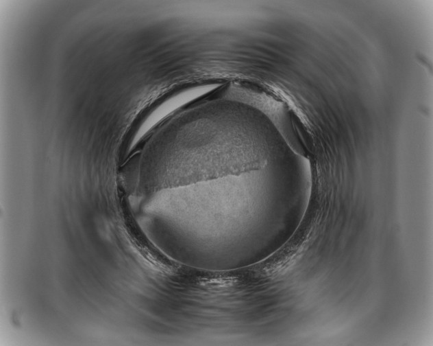 X0000096940447200802151218