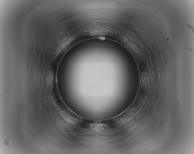 X0000096940448200802151218