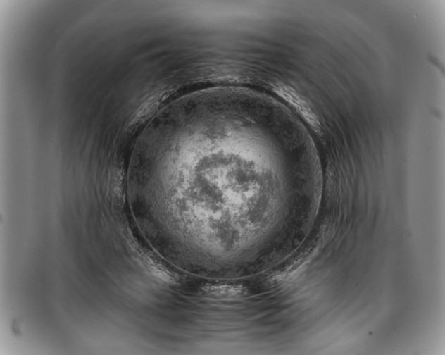 X0000096940449200802151218
