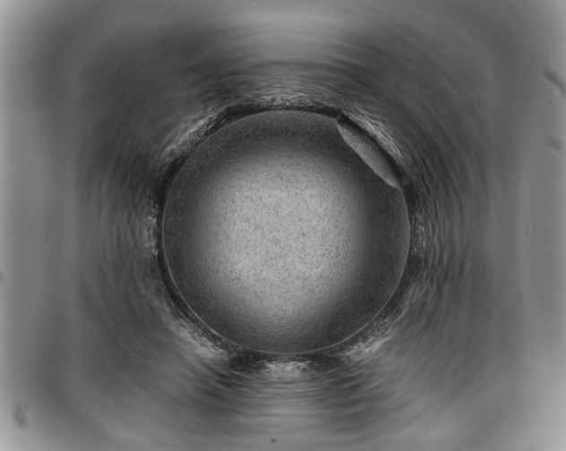 X0000096940450200802151218