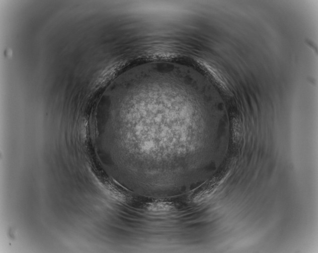 X0000096940451200802151218