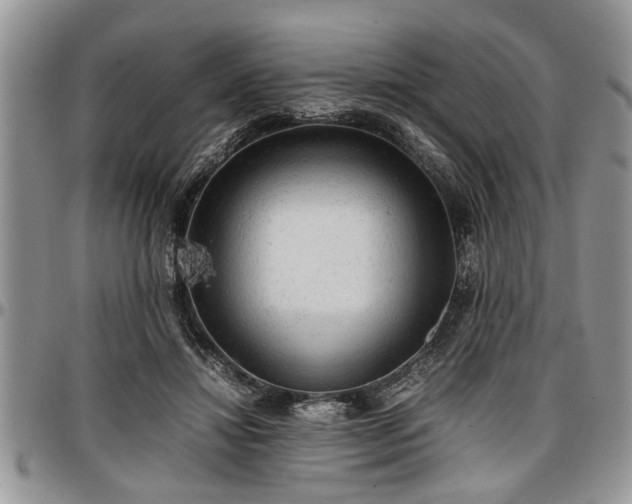 X0000096940452200802151218