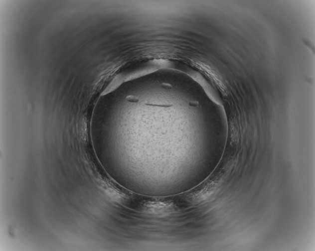 X0000096940453200802151218