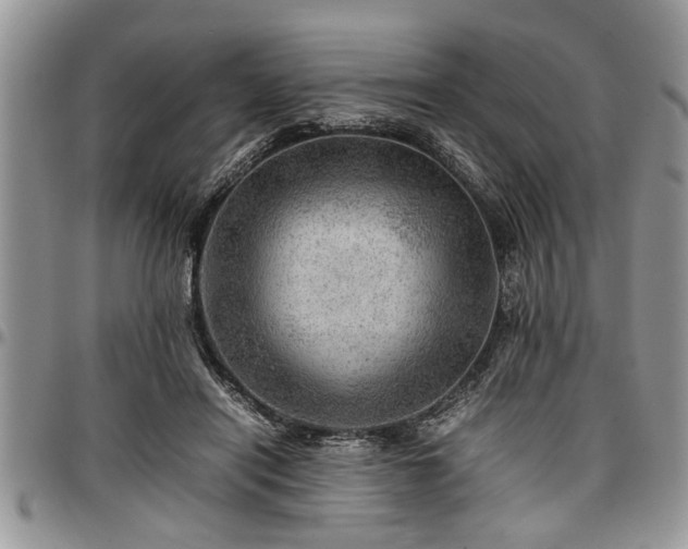 X0000096940454200802151218