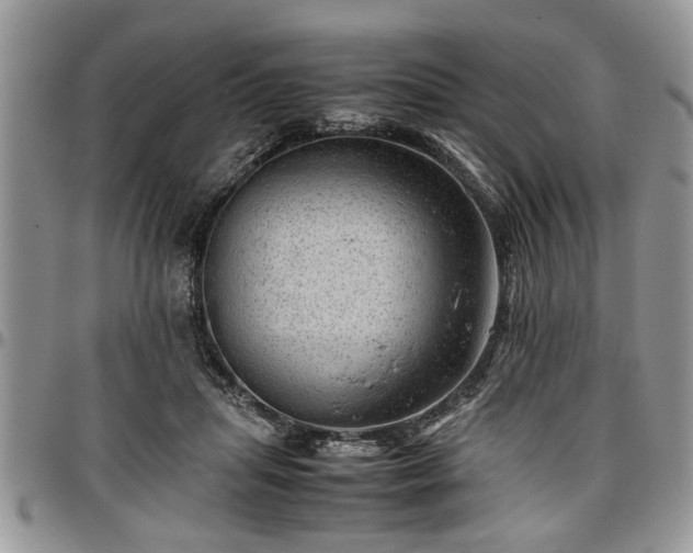 X0000096940455200802151218