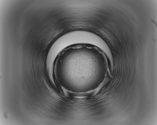 X0000096940456200802151218