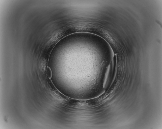 X0000096940458200802151219