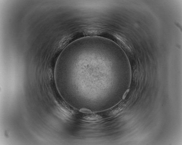 X0000096940459200802151219